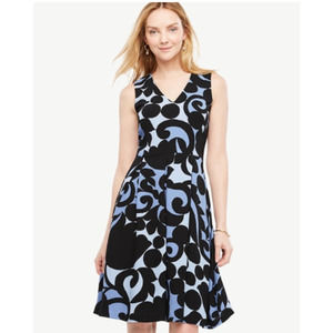 Ann Taylor Tulip Lady Oxford Fit & Flare Dress